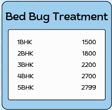 Bed Bug Treatment