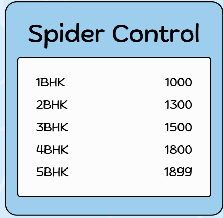 Spider Control